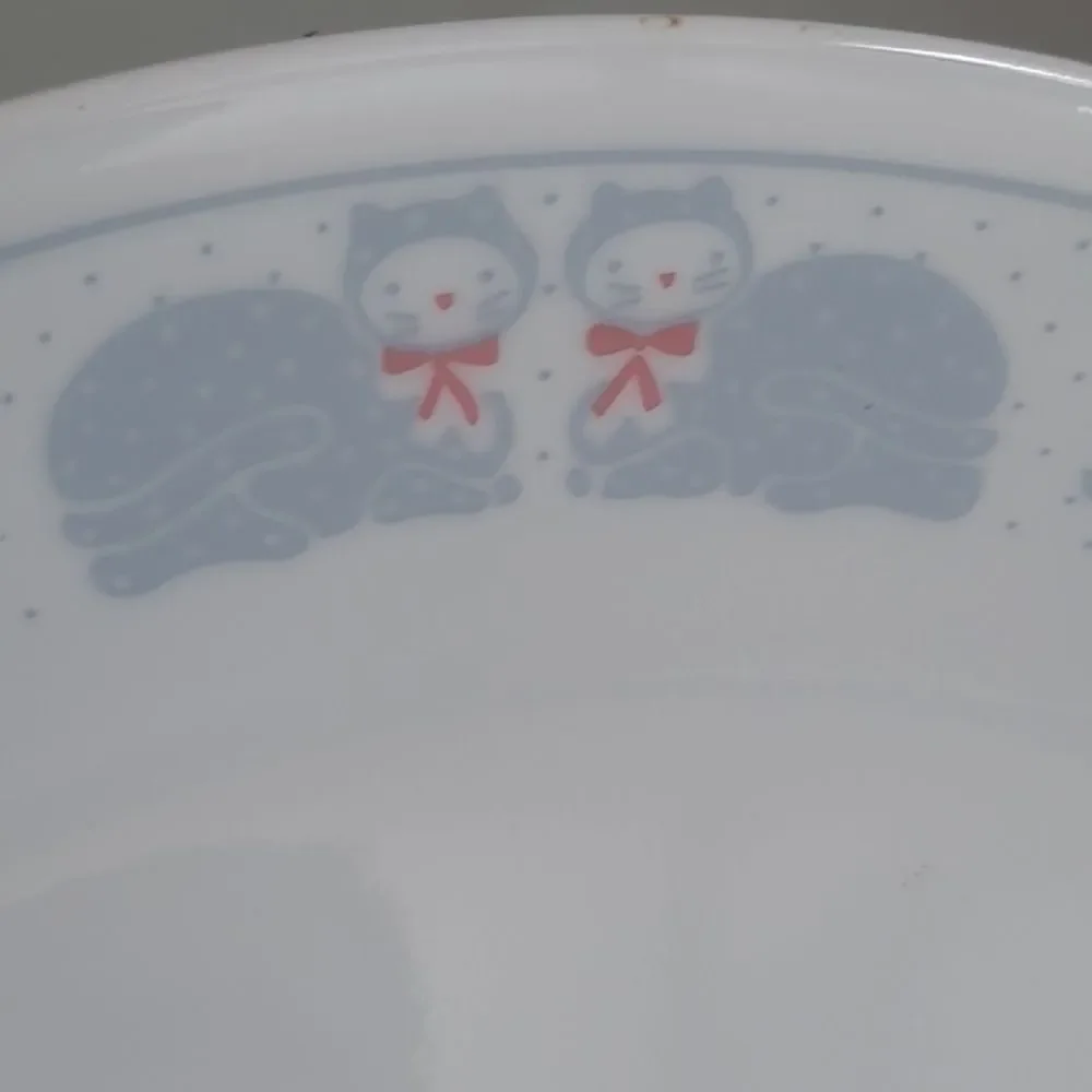 Corelle country pride  2 pcs dinner plates 